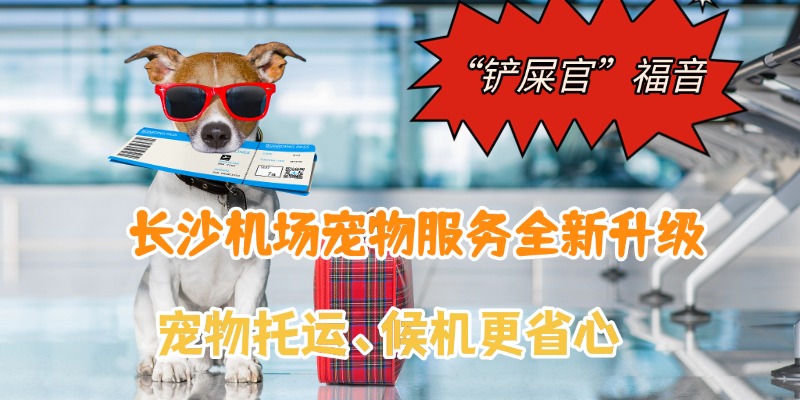 “铲屎官”福音,长沙机场宠物服务全新升级，托运、候机更省心