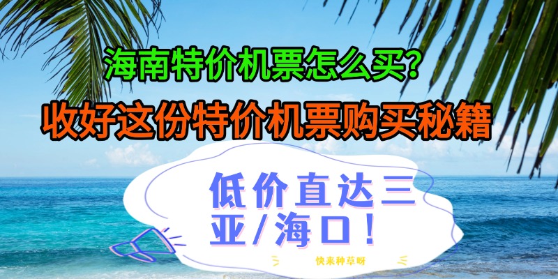 海南特价机票怎么买？收好这份特价机票购买秘籍，低价直达三亚/海口！